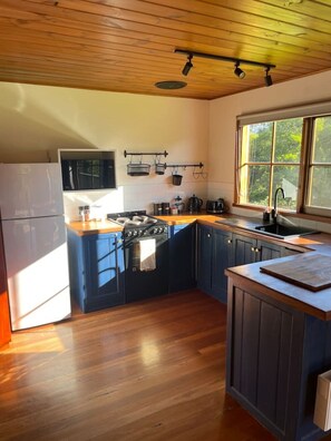 Frigorífico, microondas, horno y placa de cocina