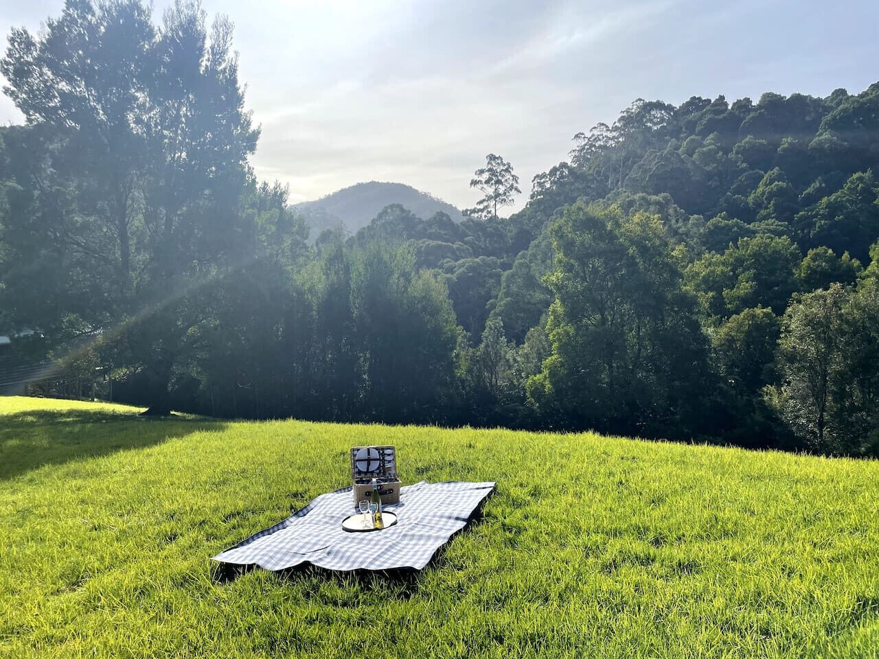 A picnic setup on a grassy field with a blanket, a basket, and a bottle.