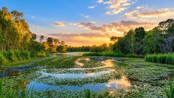 Un paysage naturel composé d’une étendue d’eau entourée d’arbres et de végétation.