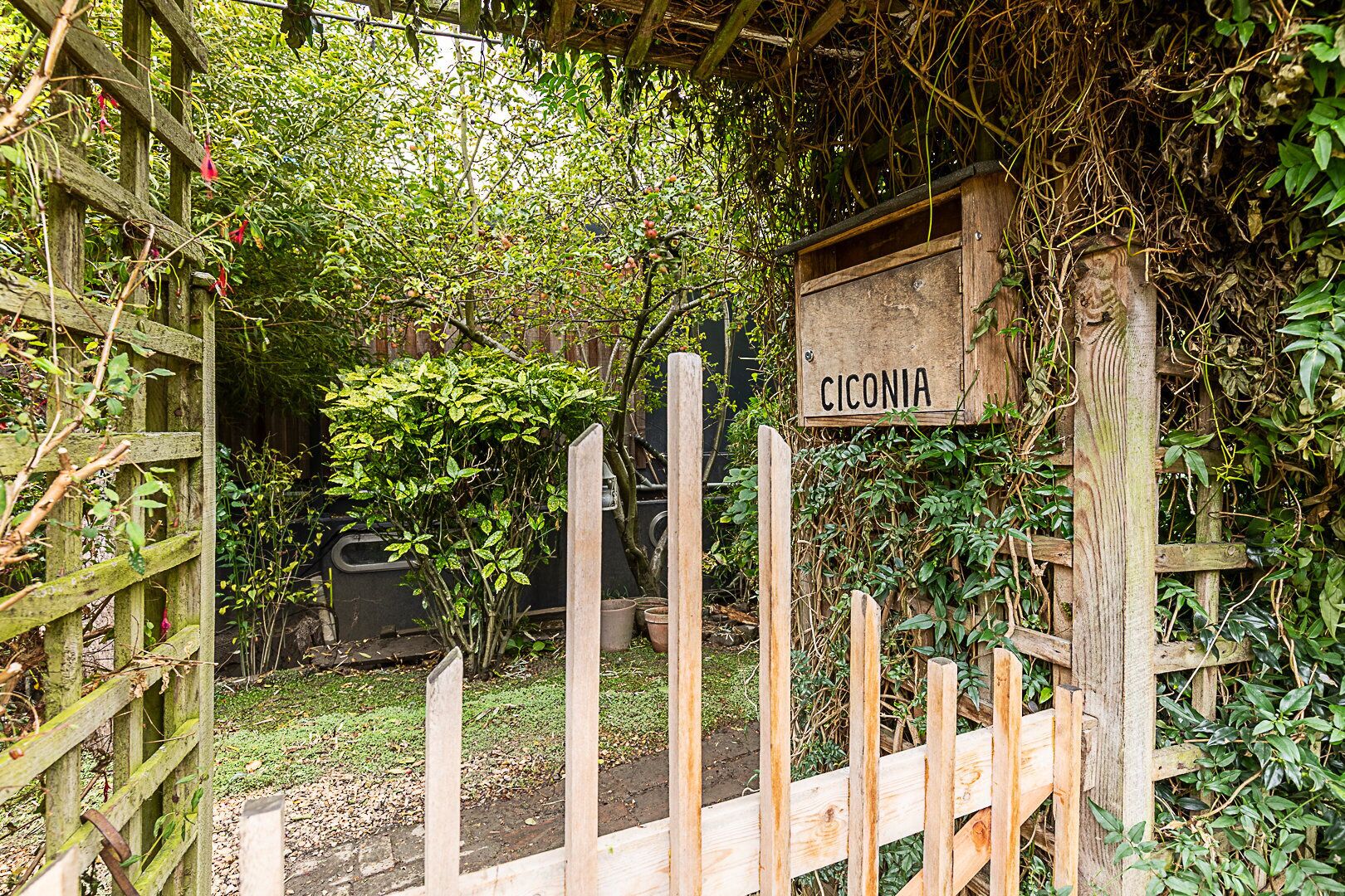 Áreas de la propiedad