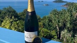 A bottle of Nicolas Feuillatte champagne and a tin of Siberian caviar on a blue railing with a view of the sea and islands.