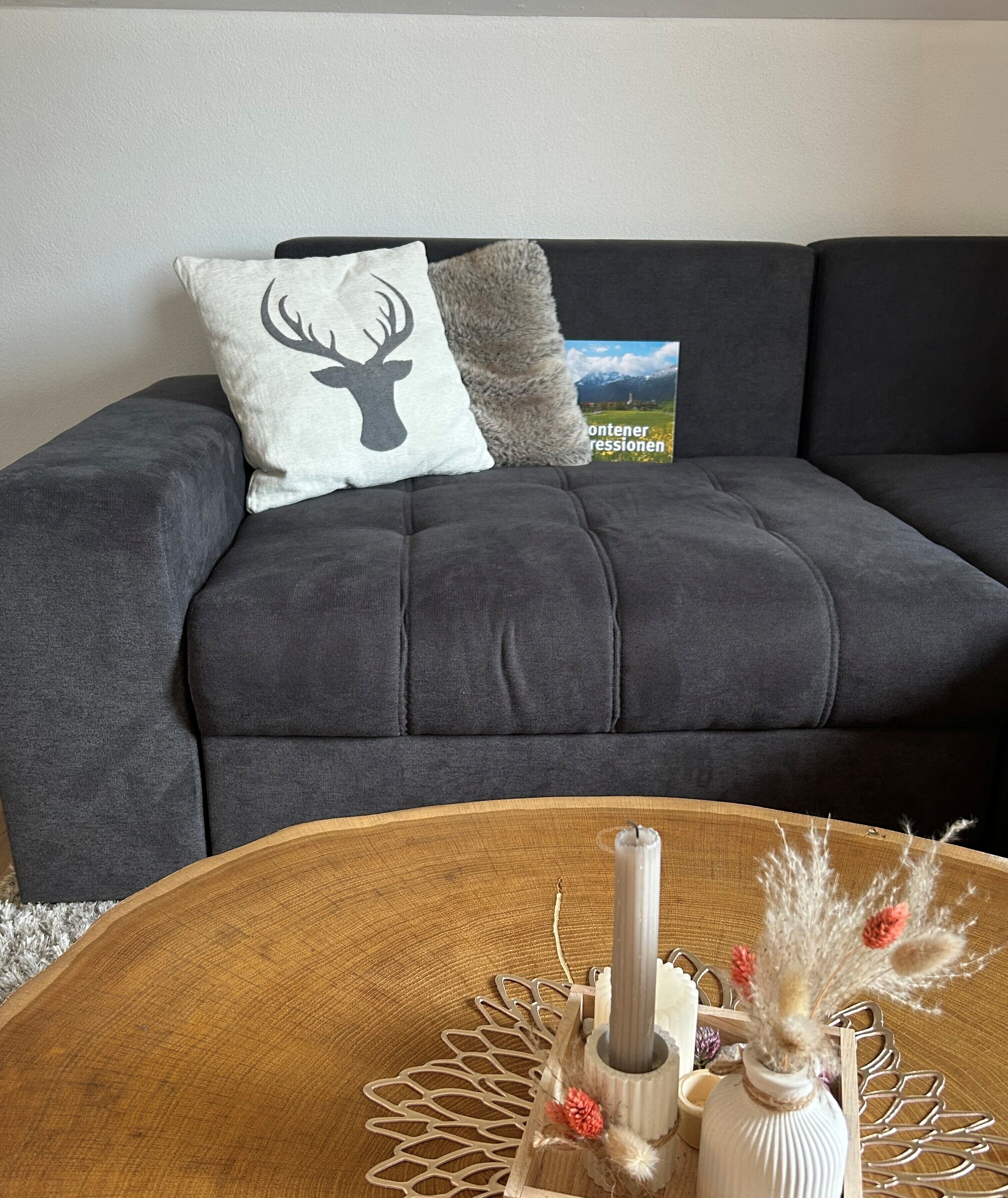 Smart TV, fireplace, books, stereo