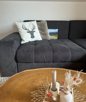 Smart TV, fireplace, books, stereo