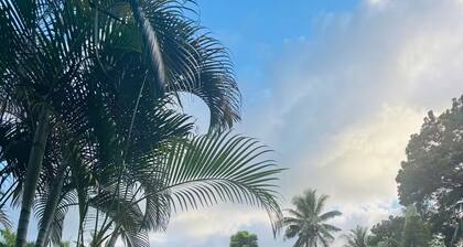 Mirz accomodation Villa 2