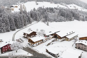 Exterior - Apartment in Mittersill with mountain view (Mittersill)