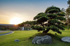 A well-maintained grassy area with a prominent bonsai tree, large rocks, and a modern building in the background. - Yingbin Hotel (Dongguan)