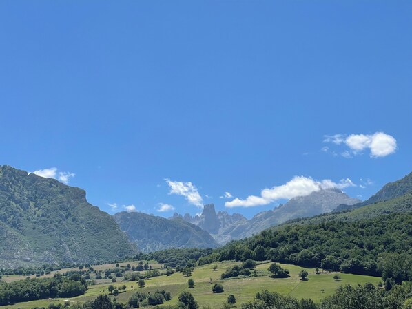 Un paysage montagneux, avec des prairies verdoyantes et des arbres dispersés.