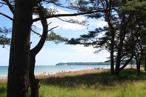Une plage bordée d’arbres, un ciel dégagé et une île qui se profile à l’horizon.