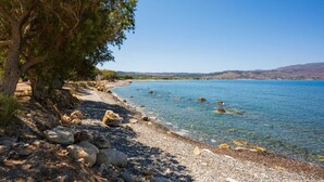 Une plage de galets avec une eau d’un bleu limpide et un arbre sur la gauche.