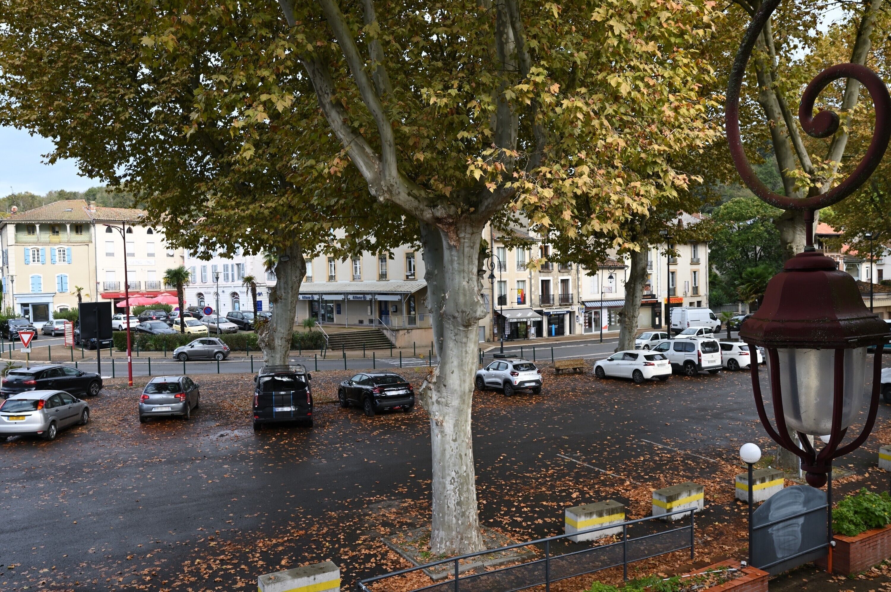 A street view with parked cars, trees, and buildings.