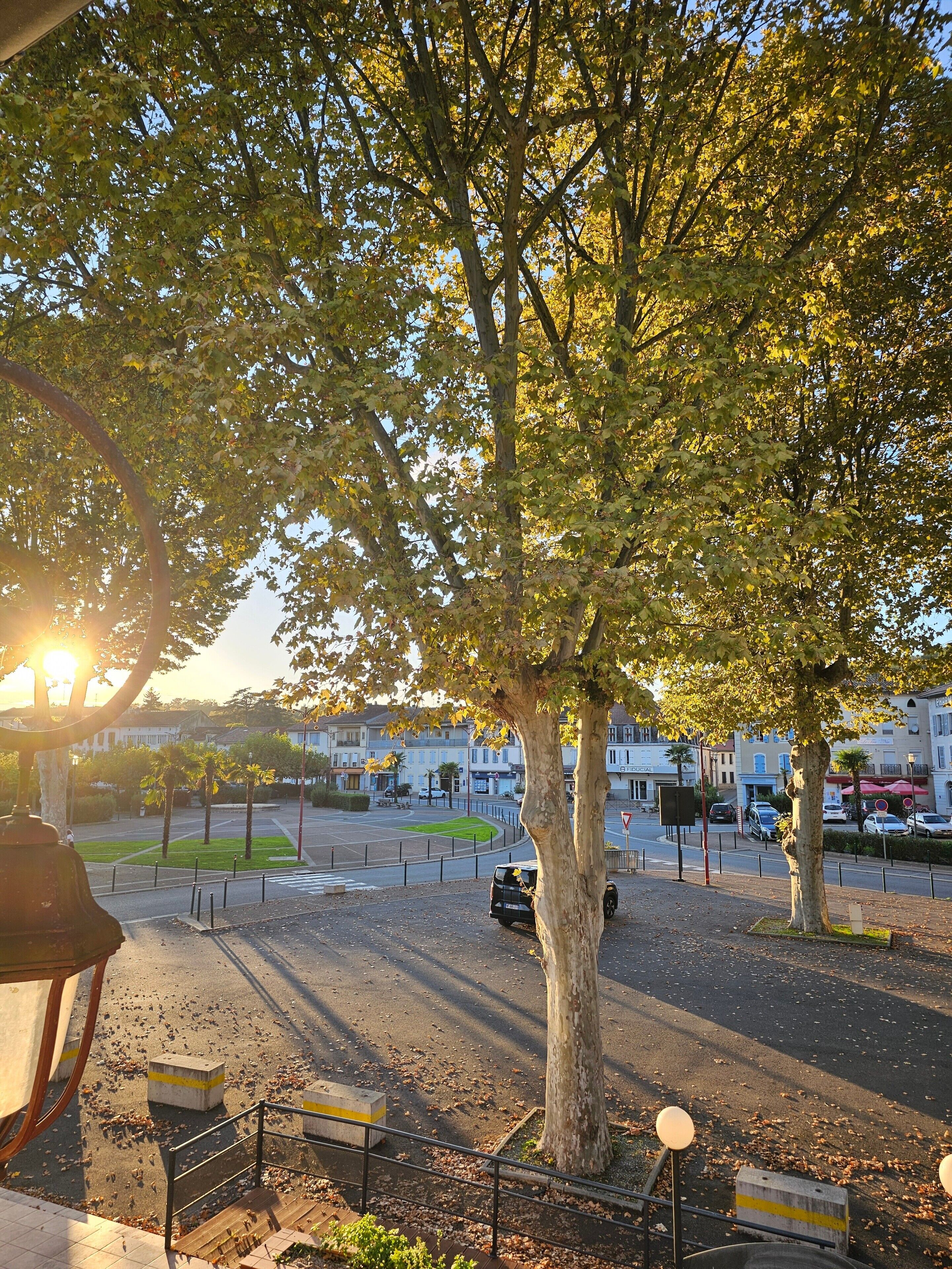 Une rue bordée d’arbres, avec un passage piéton, un rond-point et des bâtiments en arrière-plan.