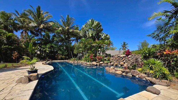Piscina com borda curva, rodeada por pedras e plantas tropicais.