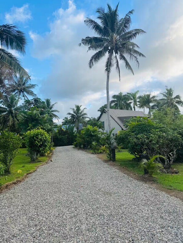 A gravel path leading to a building surrounded by palm trees and greenery.
