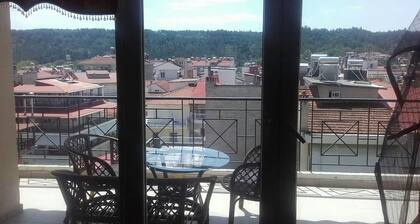 City Center Apartment With Mountain View