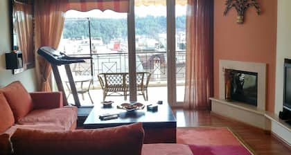 City Center Apartment With Mountain View