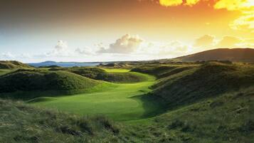 Chi tiết nội thất