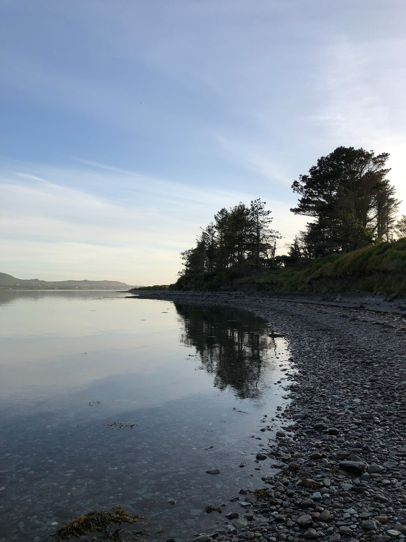 A calm lake with a pebble beach and trees along the shore.