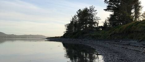 A calm lake with a pebble beach and trees along the shore.