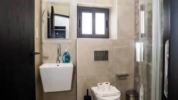 A modern bathroom with a sink, mirror, toilet, and shower.