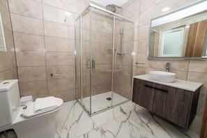 Regadera y secadora de cabello 