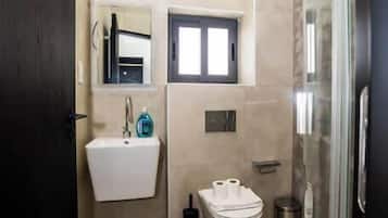 Shower, hair dryer