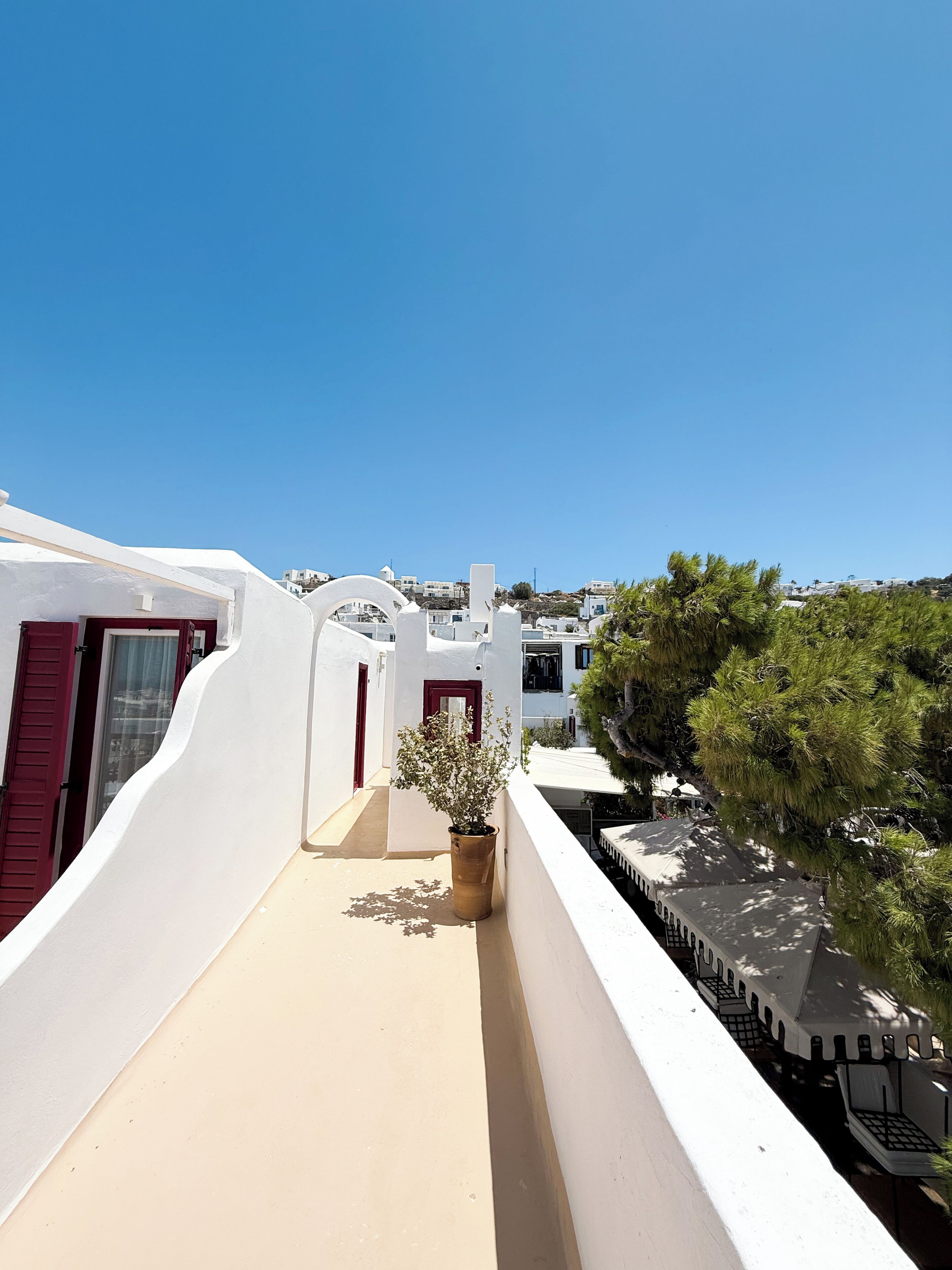 Junior Suite | Terrace/patio