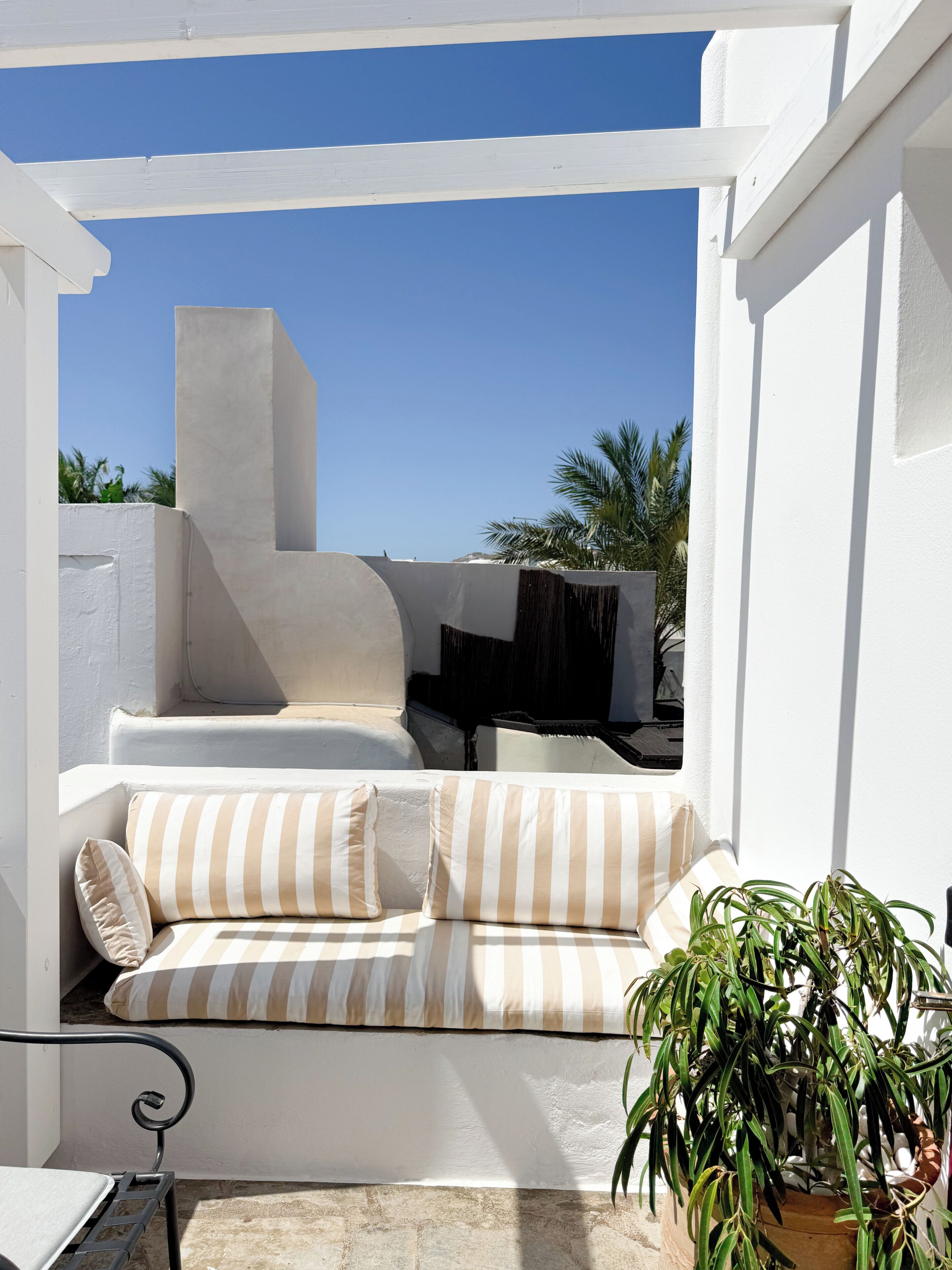 Suite junior | Terraza o patio