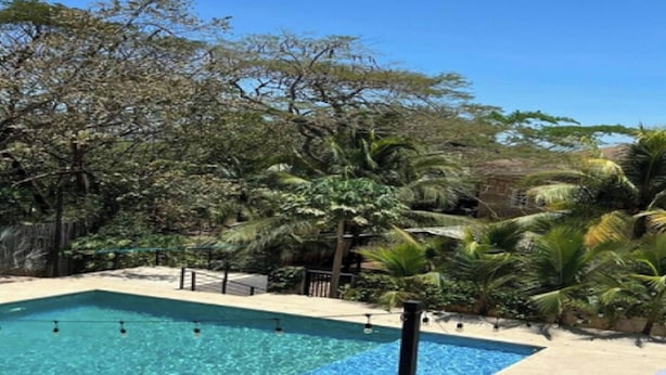 A swimming pool with a clear blue water, surrounded by palm trees and other greenery. - El Castillo Casa Azul (Cabo Velas)
