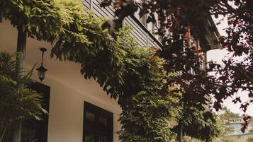 Detalle del exterior