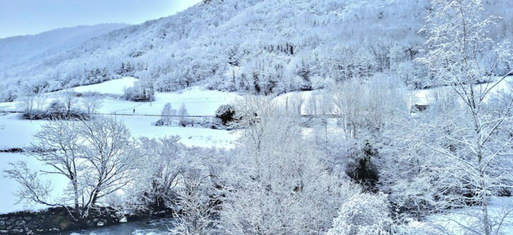 A snow-covered landscape with trees and a river.