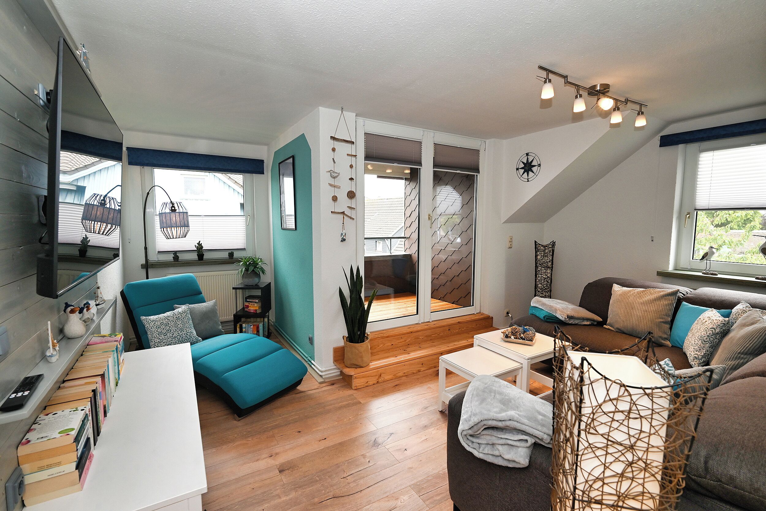 Télévision, livres