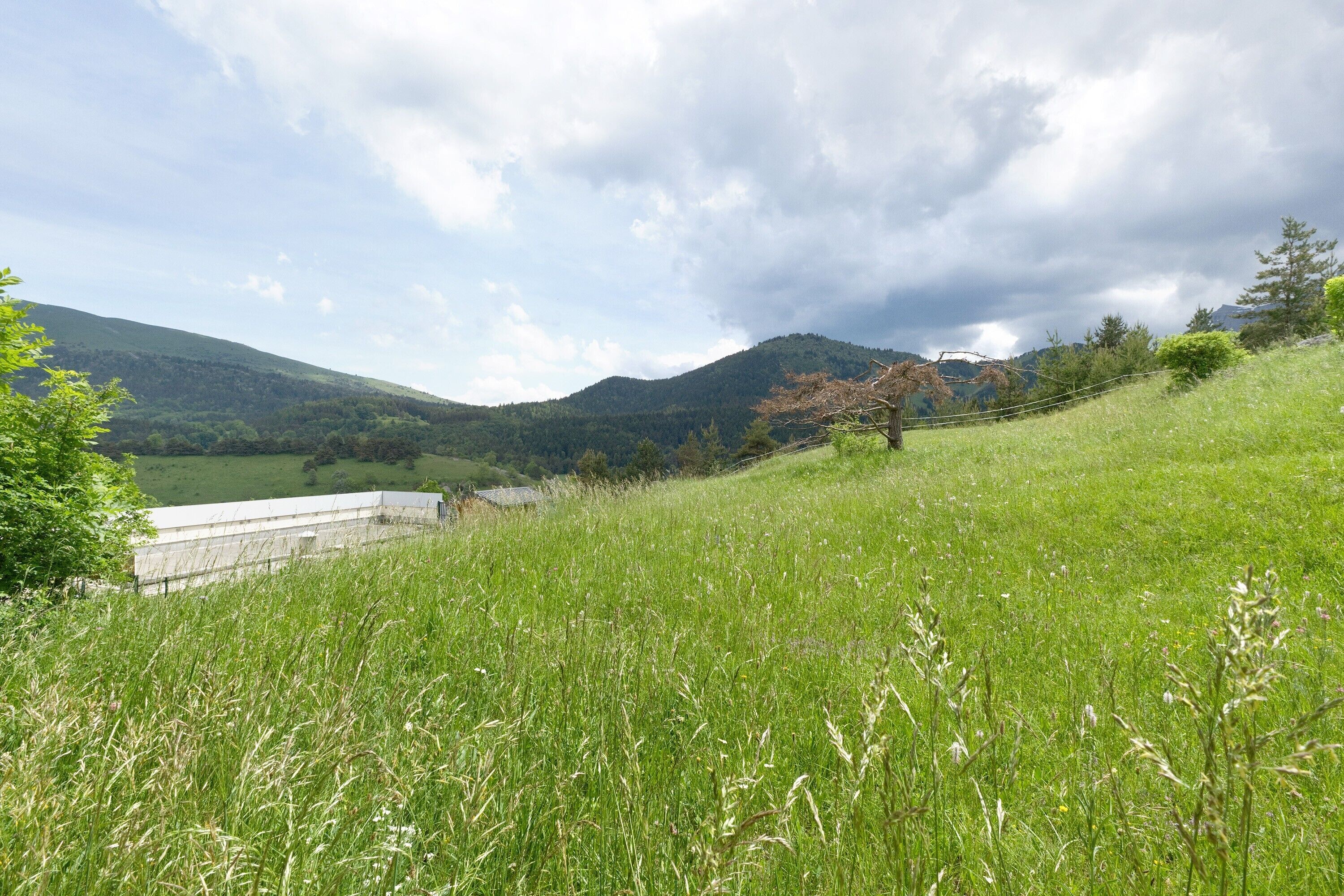 A grassy field with a building in the background and a cloudy sky.