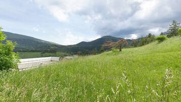 A grassy field with a building in the background and a cloudy sky.