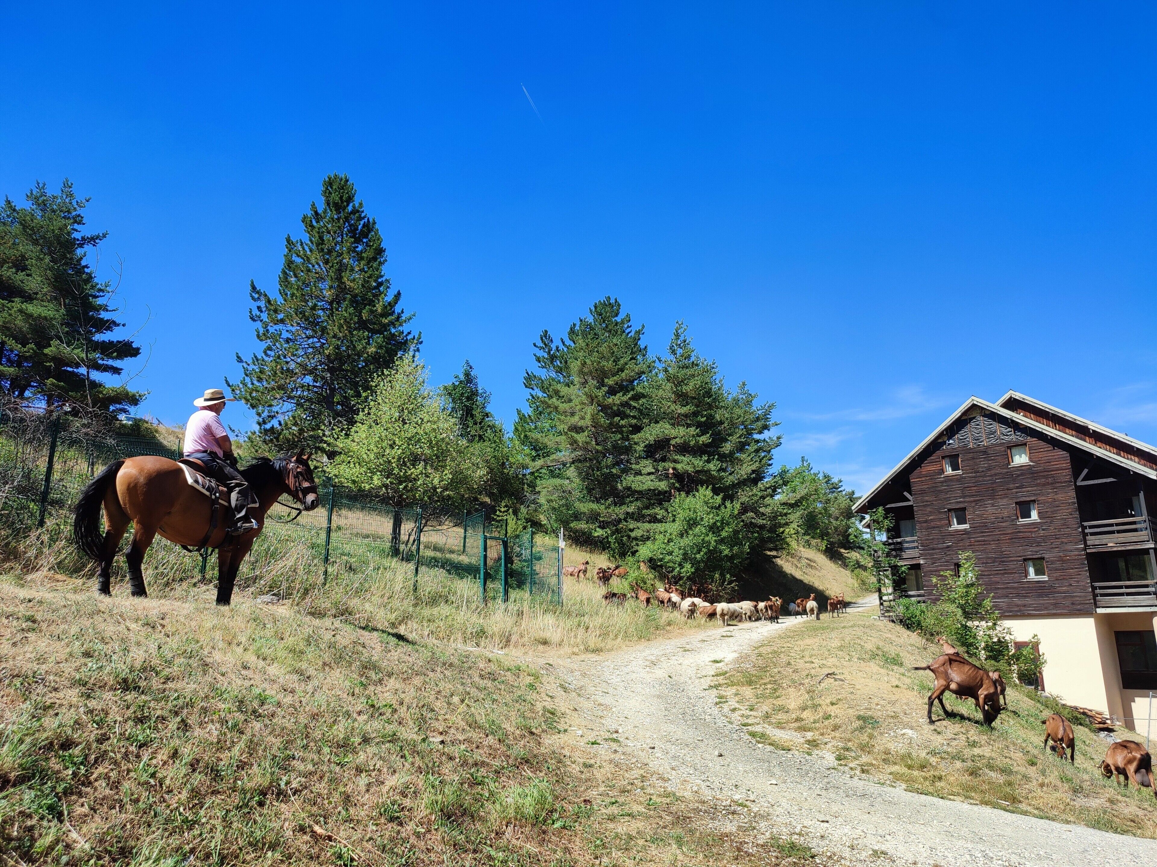 Un entorno rural con un sendero de tierra, un caballo y un edificio con techo inclinado.