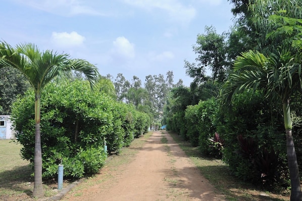 Entrada de la propiedad