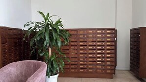 Een kamer met een roze stoel, een potplant en een houten scheidingswand met verschillende vakken.