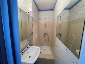 Shower, hair dryer, bidet, towels