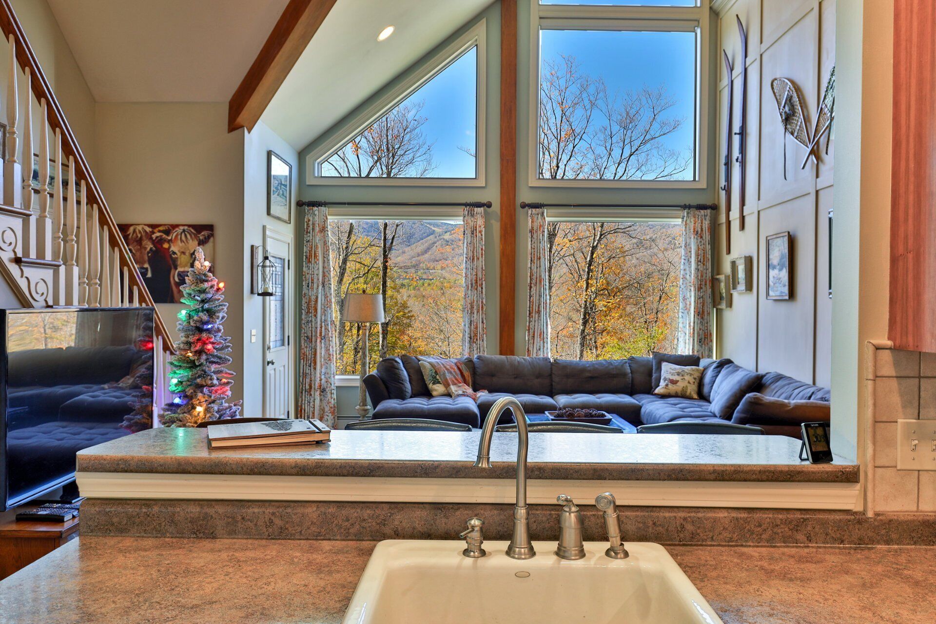 Smart TV, fireplace, video games, DVD player