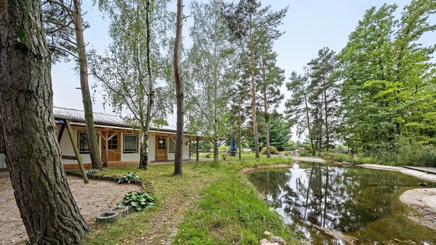 Un bâtiment à l’extérieur en bois, entouré d’arbres et bordé d’un étang.