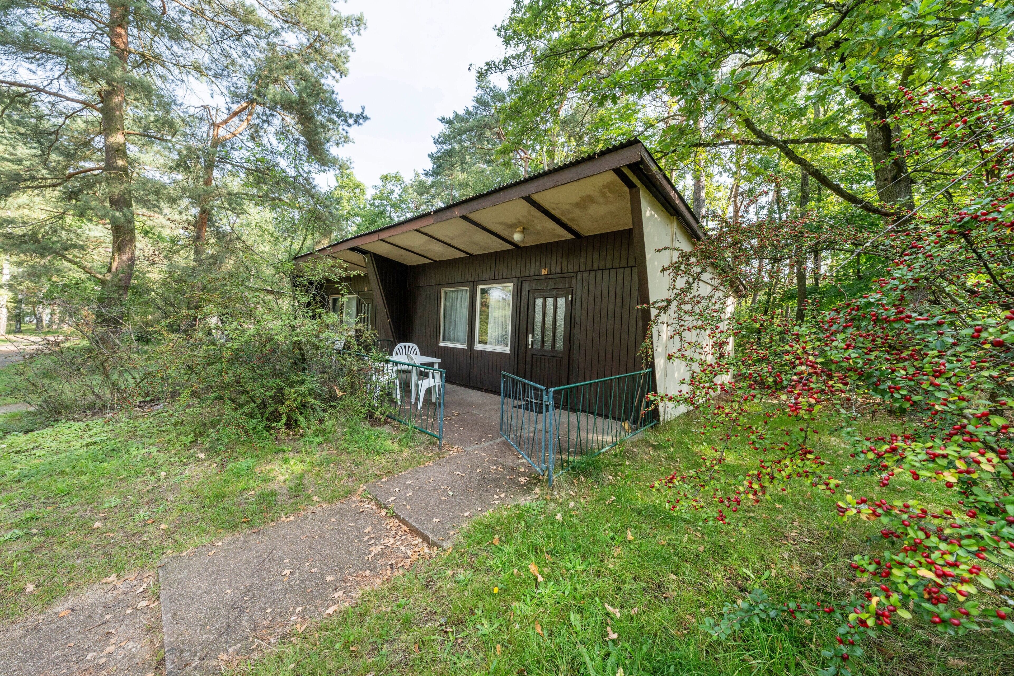 Un chalet rustique doté d’une véranda, entouré d’une forêt dense et d’un petit jardin.