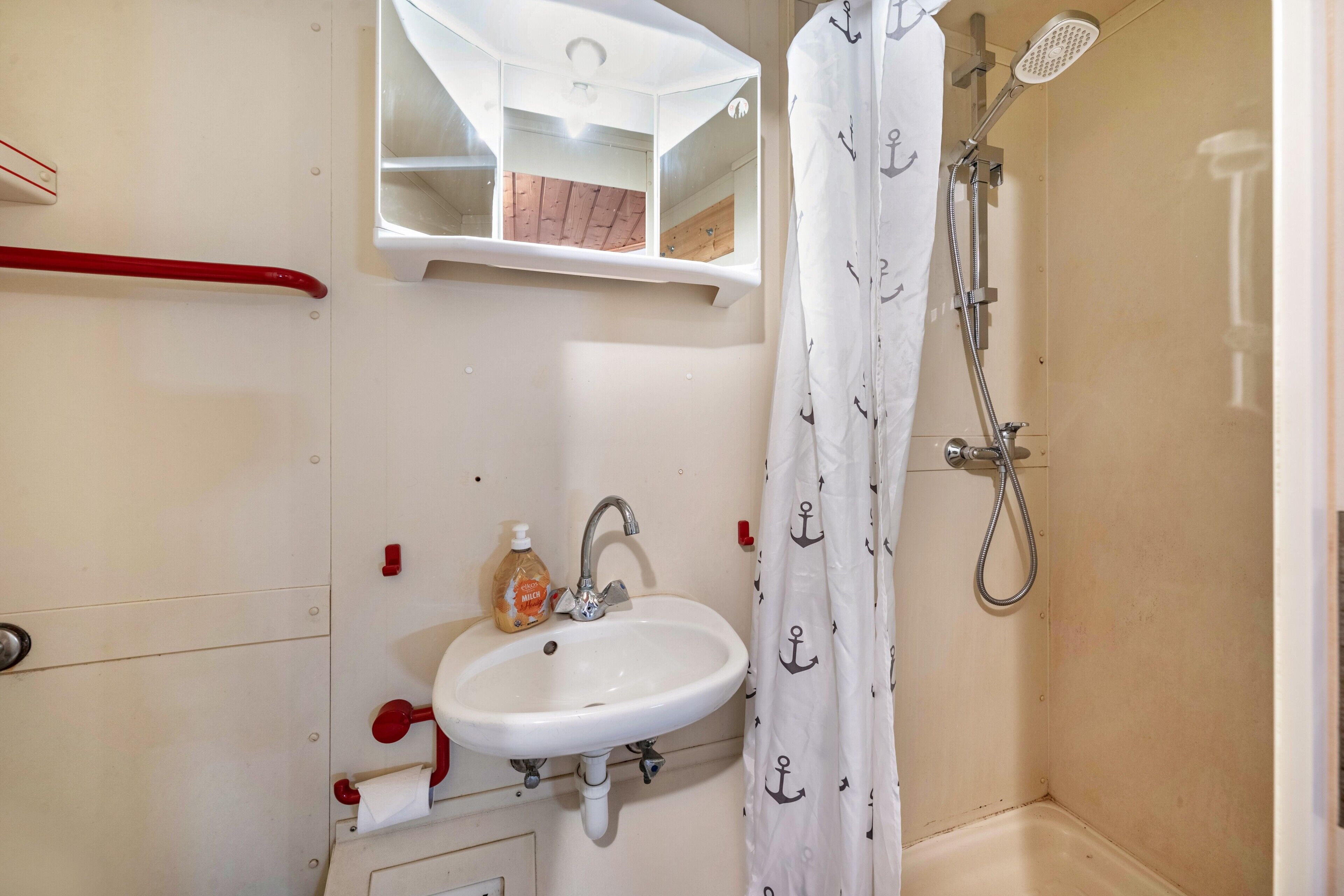 Un baño con lavamanos blanco, espejo, ducha y barra de apoyo roja.