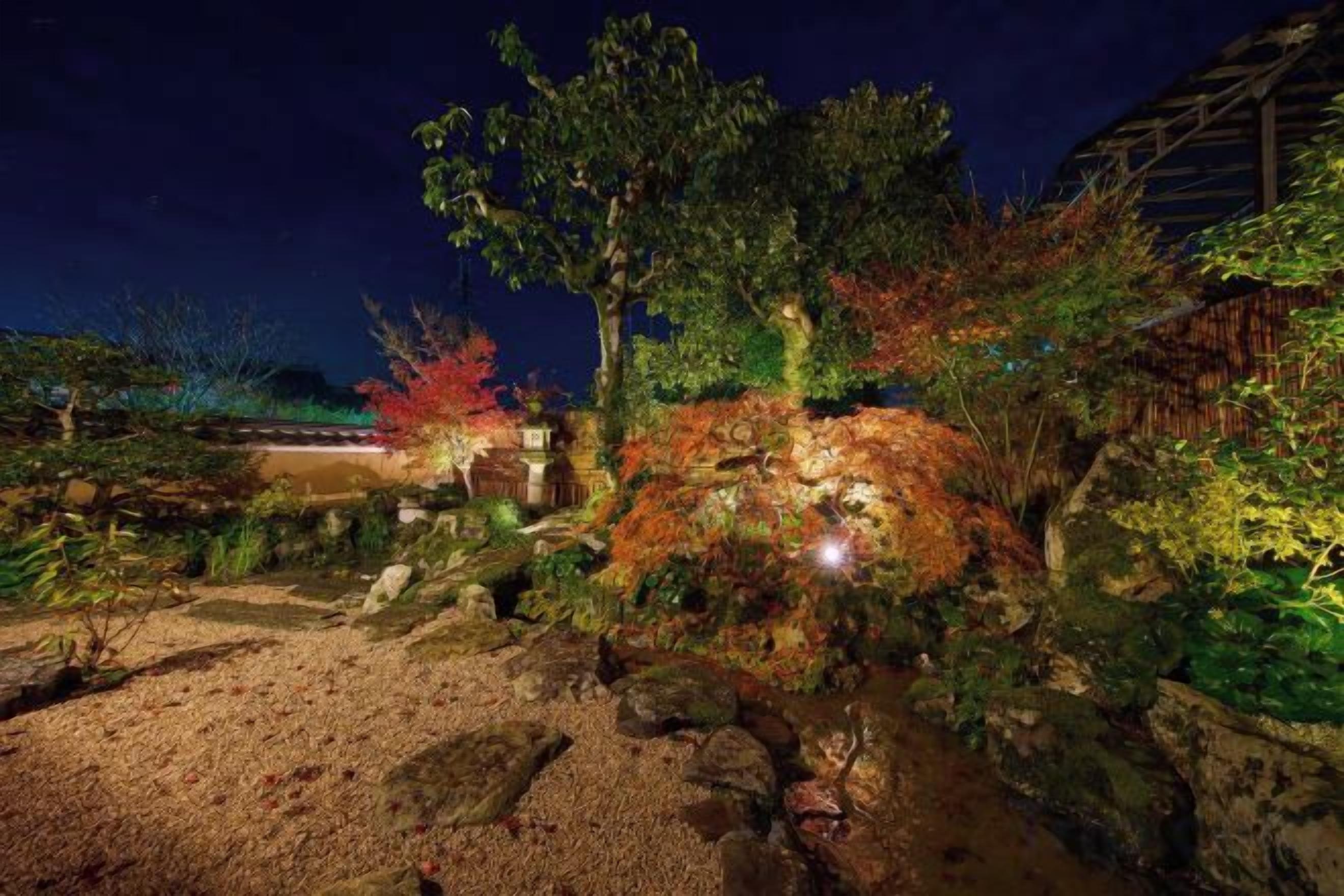 A garden with a pathway, rocks, and various plants.