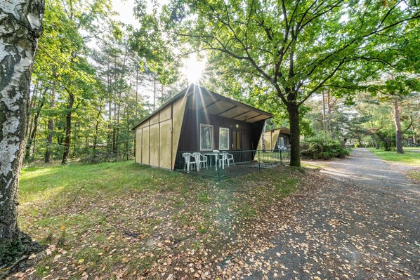 A small cabin with a porch, surrounded by trees and a gravel path.