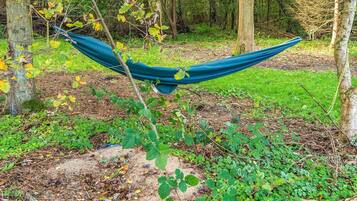 House | Pemandangan dari hartanah