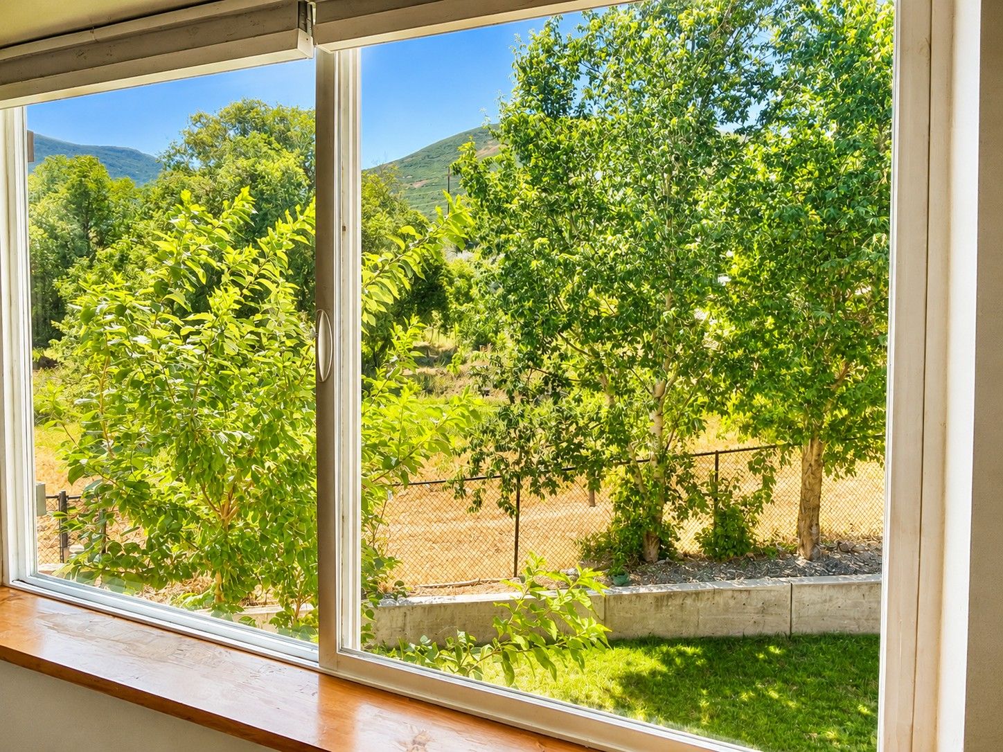Une fenêtre donnant sur un espace verdoyant, des arbres et une clôture.