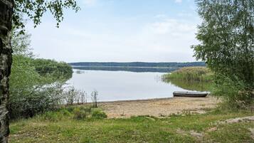 En sjö med en båt vid stranden, omgiven av träd och växtlighet.