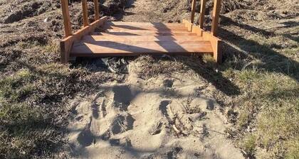 Waterfront tiny home with hot tub (Pet friendly, near beaches)