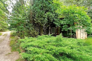 A dirt path leading to a rustic wooden structure surrounded by dense green foliage.