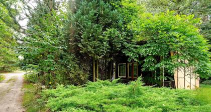 Bungalow '24 - Kimbucht' with Private Terrace and Shared Garden