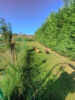 المنطقة المحيطة بالمنشأة